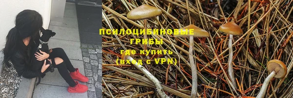 экстази Алексин
