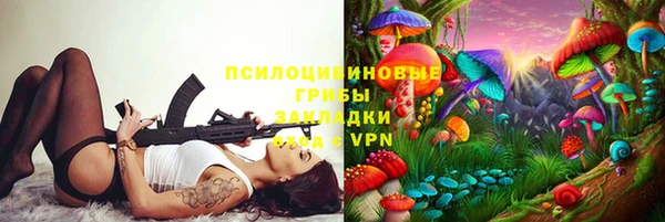 прущий лед Алзамай
