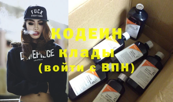 прущий лед Алзамай