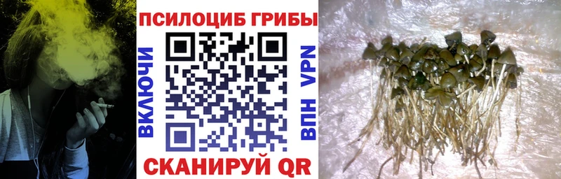 Галлюциногенные грибы ЛСД купить Кирсанов
